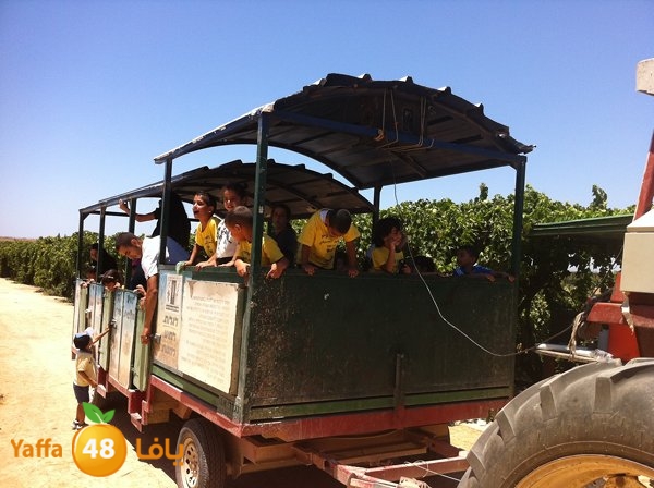 jamahery mokhayammm (7).jpg